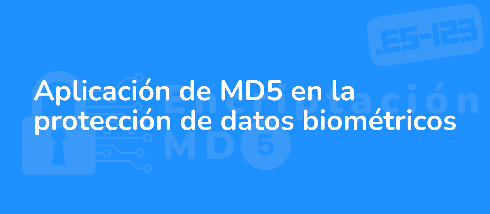 secure data protection with md5 application featuring biometric information safeguarding privacy with a digital lock