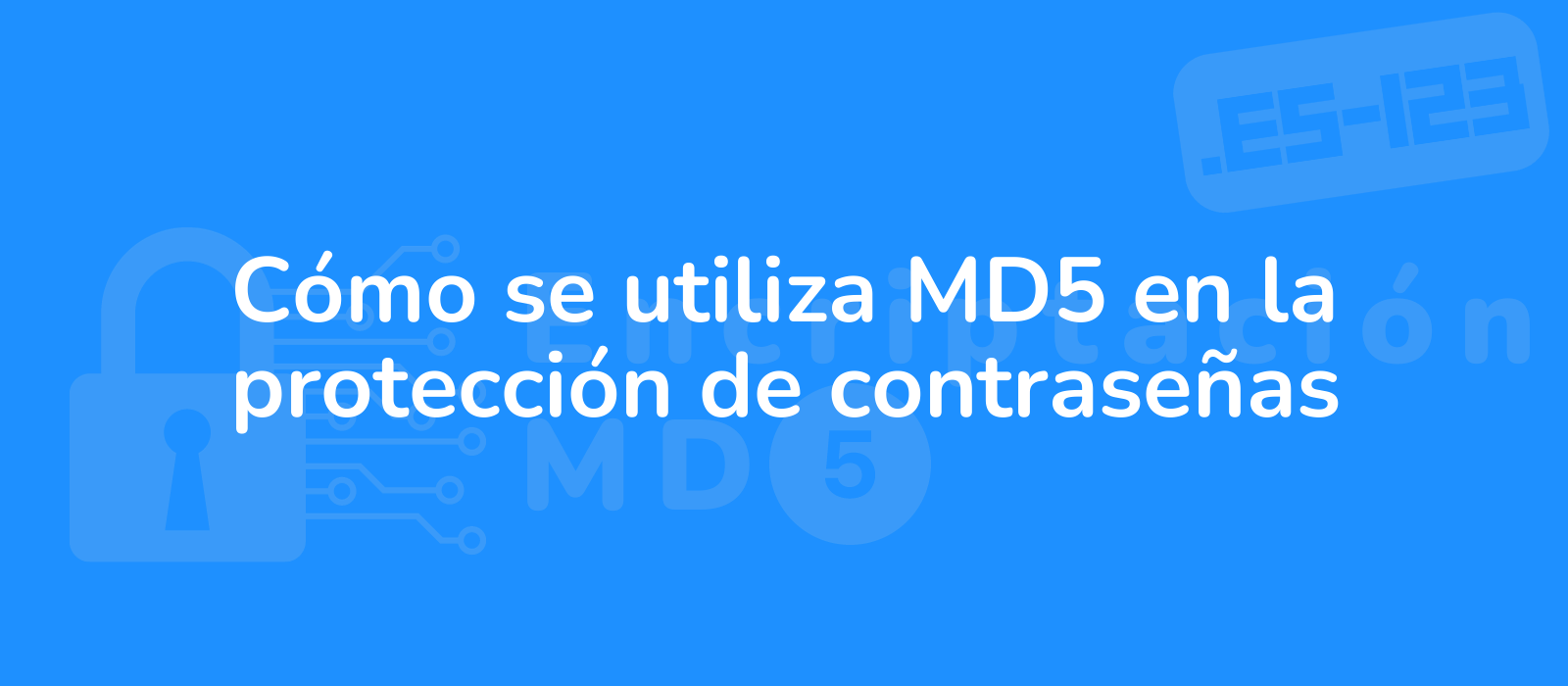 md5 encryption in password protection illustration of secure digital lock shielding passwords with a blue background 3d design