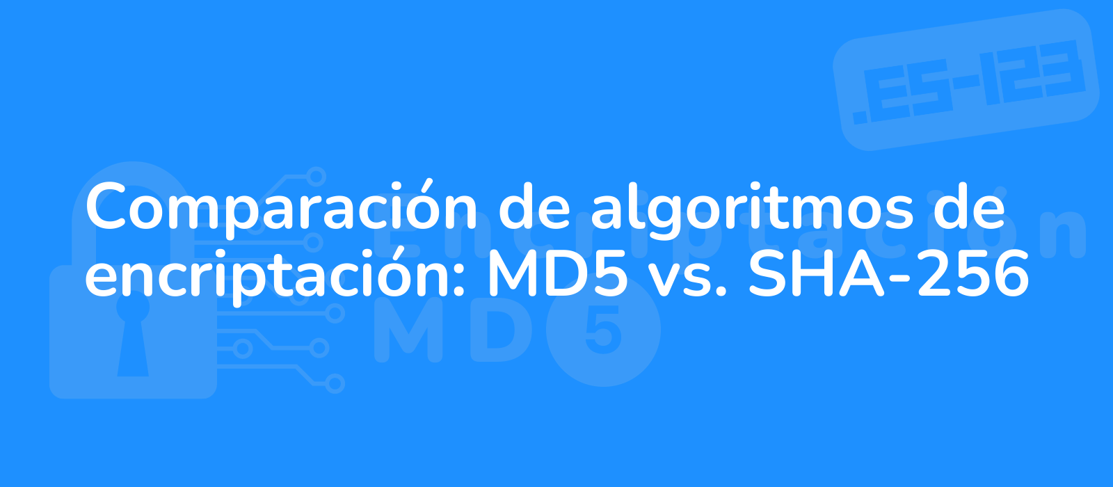 contrasting encryption algorithms md5 vs sha 256 showcased with intricate details representing security and technology