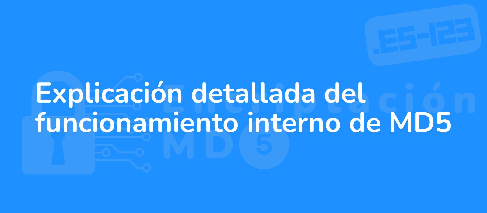 detailed explanation of the internal workings of md5 showcased through intricate visuals highlighting its complexity and technical depth