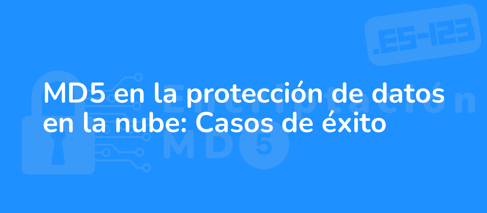 stylized depiction of md5 encryption symbolizing data protection in the cloud with successful case studies in vibrant colors 8k resolution