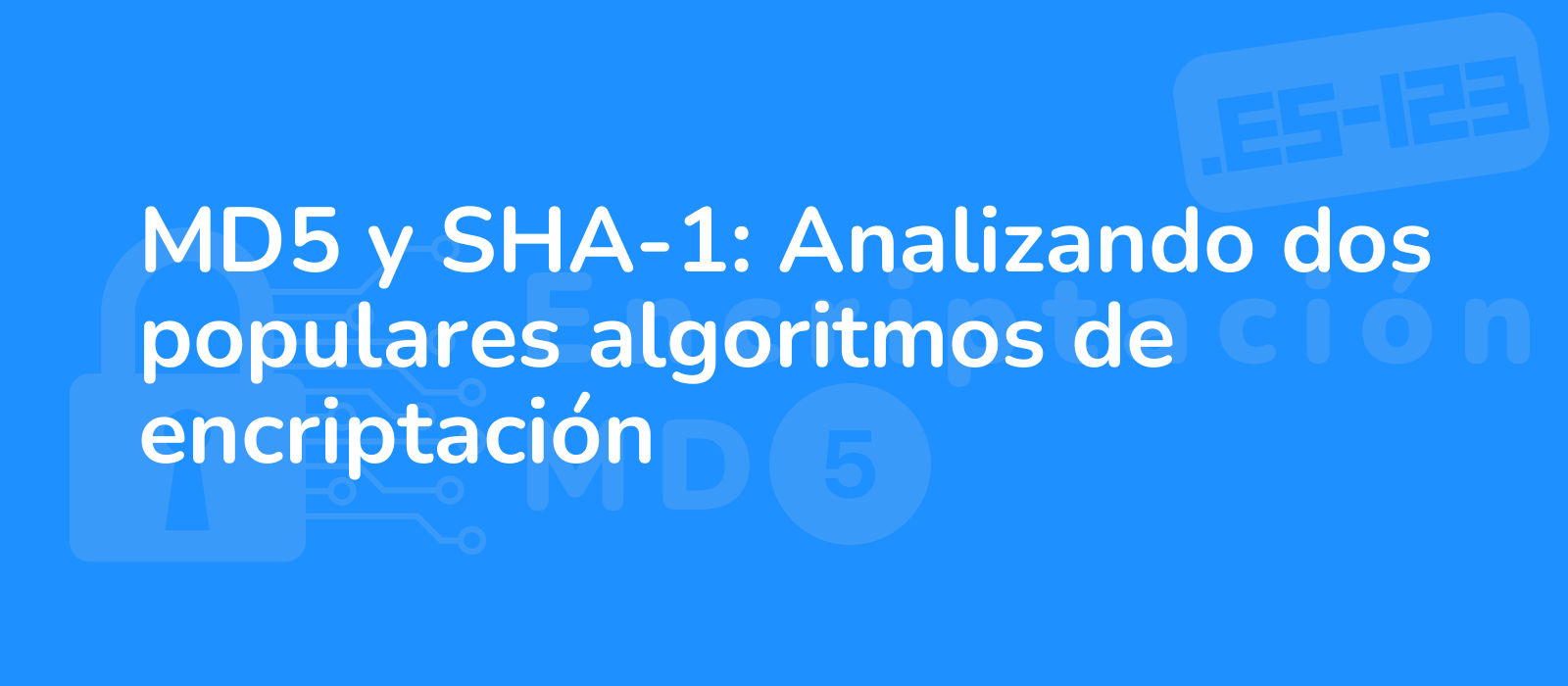 close up of a computer screen displaying md5 and sha 1 algorithms representing encryption and security with a modern and sleek design